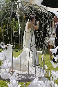 White Dove Release Weddings and Funerals Yorkshire 1089094 Image 8